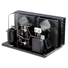 Компрессорный агрегат FHT4524ZHR-XC 1 (220)