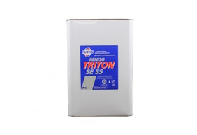 Олива компресорна RENISO TRITON SE 55 10л